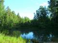 Озеро около Уральской слободы